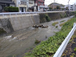 大山田川9月15日増水.JPG